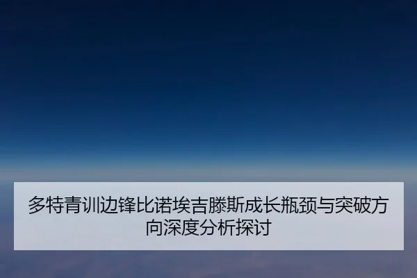多特青训边锋比诺埃吉滕斯成长瓶颈与突破方向深度分析探讨