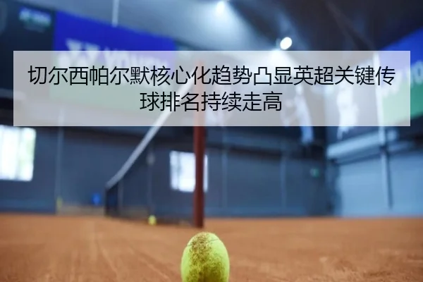 切尔西帕尔默核心化趋势凸显英超关键传球排名持续走高
